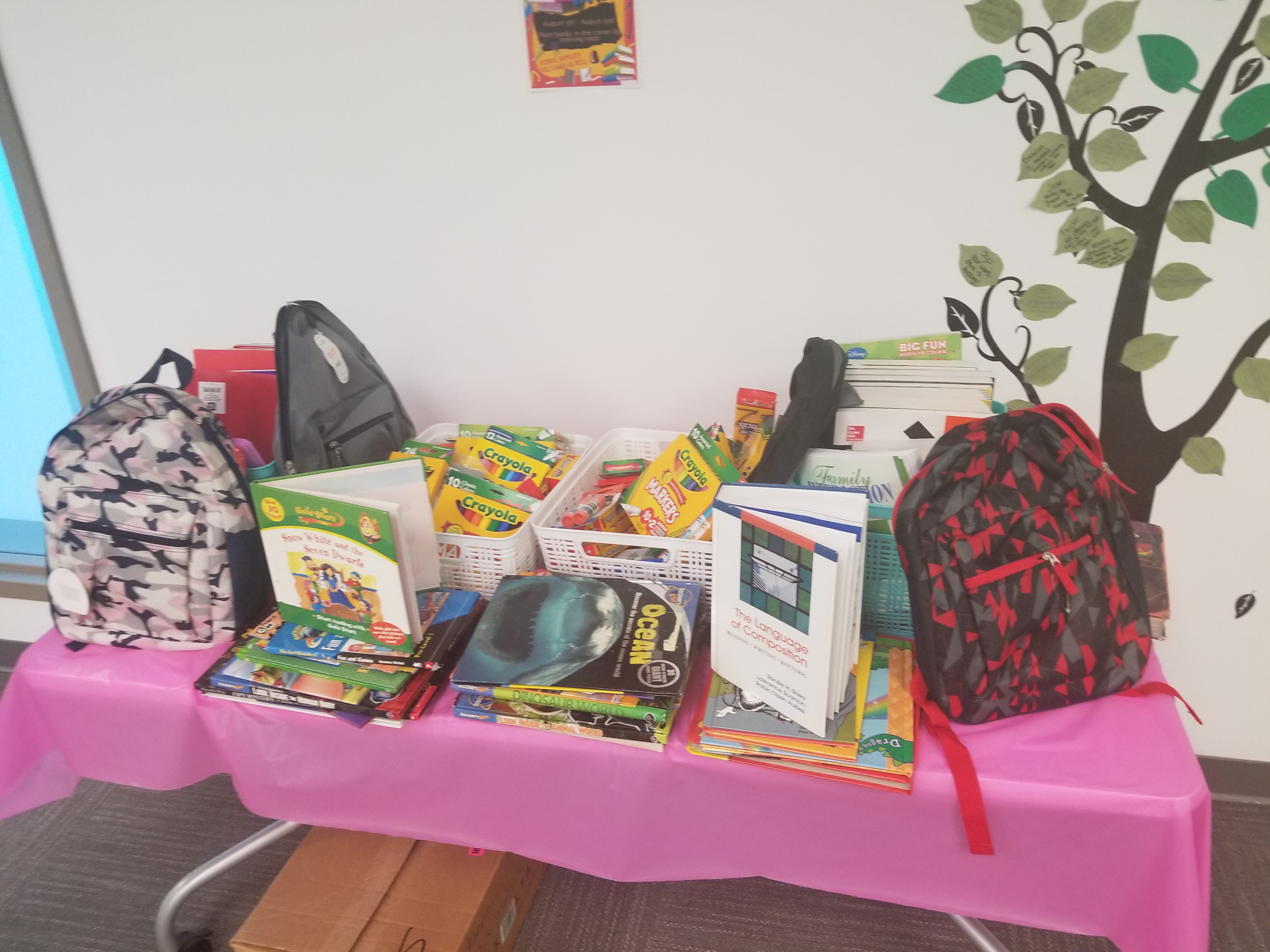 Veyo Book Drive